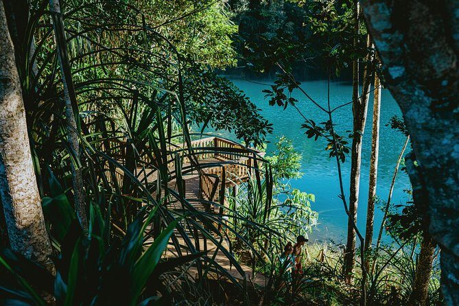 Private Waterfall and Rainforest Day Tour - A Deep Dive into the Experience