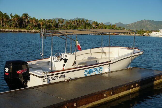 Private Whale Watching in San José del Cabo - What to Expect from the Tour