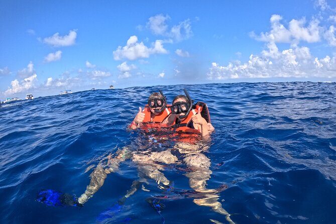 Private Whale Watching Tours in Isla Mujeres - The Logistics: What to Expect on the Day