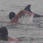 Private Wild Dolphin Encounter in Puerto Vallarta - The Value in the Details