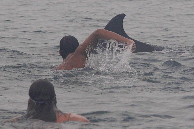 Private Wild Dolphin Encounter in Puerto Vallarta - The Value in the Details