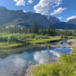 PRIVATE Wilderness and Wildlife Walking Tour - 2.5H - What the Reviews Say