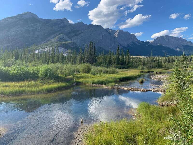 PRIVATE Wilderness and Wildlife Walking Tour - 2.5H - What the Reviews Say