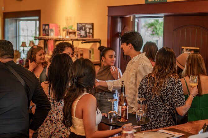 Private Wine Tasting in the American Alps - Who Is This Tour Best For?