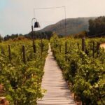 Private Wine Tour at Valle de Guadalupe (A wine tasting included). - Frequently Asked Questions