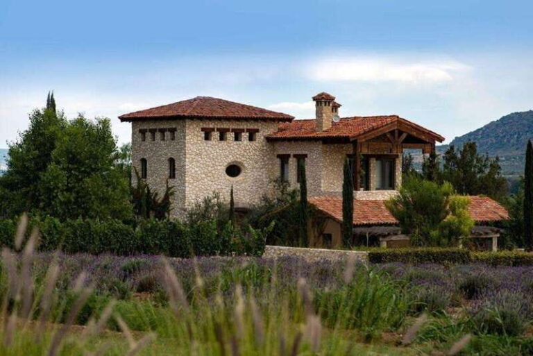 Private Wine Tour from Guanajuato City - The Value and What You’re Paying For