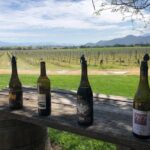 Private Wine Tour from the Santa Ynez Valley - Deep Dive into the Experience