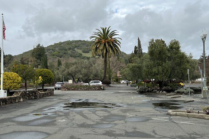 Private Wine Tour of Napa and Sonoma - What’s Not Included & Extra Costs
