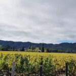 Private Wine Tour of Napa Valley - What’s Included and What’s Not