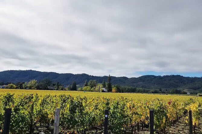 Private Wine Tour of Napa Valley - What’s Included and What’s Not