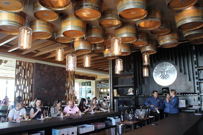 Private Wine Tour, Winemaker for a Day, Wine Pairing and Tasting - Who Is This Tour Best For?