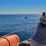 Private Yacht, Snorkeling or Sunset in Cabo San Lucas - Final Thoughts