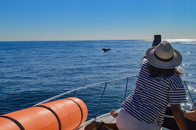 Private Yacht, Snorkeling or Sunset in Cabo San Lucas - Final Thoughts