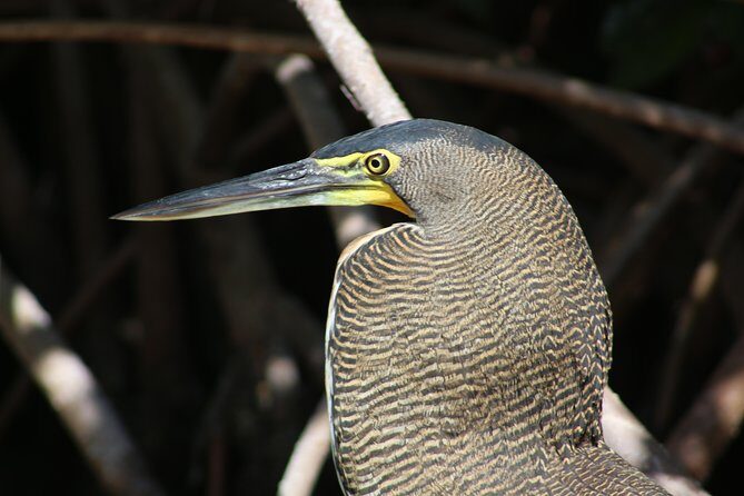 Private Yucatan Discovery Tour - What Travelers Love About This Tour