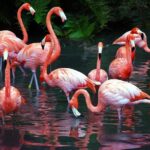 Progreso Explore the xcambo mayan ruins and beach break - Overall Value and Who It’s Best For