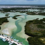 Progreso: Isla Columpios and Pig Beach Club Day Pass - Key Points
