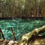 Progreso segway Sightseeing and Beach Break Adventure Excursion - Practical Details and Considerations