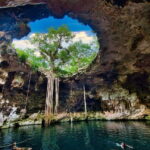 Progress: Excursion to the Santa Barbara Homun cenotes - What to Expect from the Santa Barbara Homun Cenotes Tour