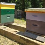 Promise Land Bee Farm Private Tour in Charleston - Who Would Love This Tour?