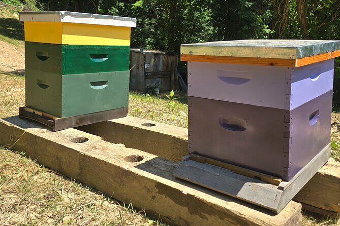 Promise Land Bee Farm Private Tour in Charleston - Who Would Love This Tour?