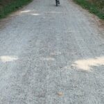 Public | Small Group | Nature & Wildlife Tour Rail Trail| 2-2.5hr - The Real-World Perspective: Pros and Cons