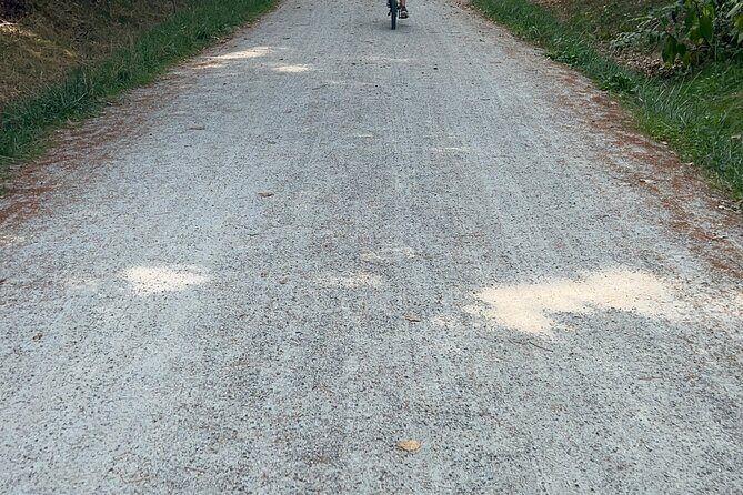 Public | Small Group | Nature & Wildlife Tour Rail Trail| 2-2.5hr - The Real-World Perspective: Pros and Cons