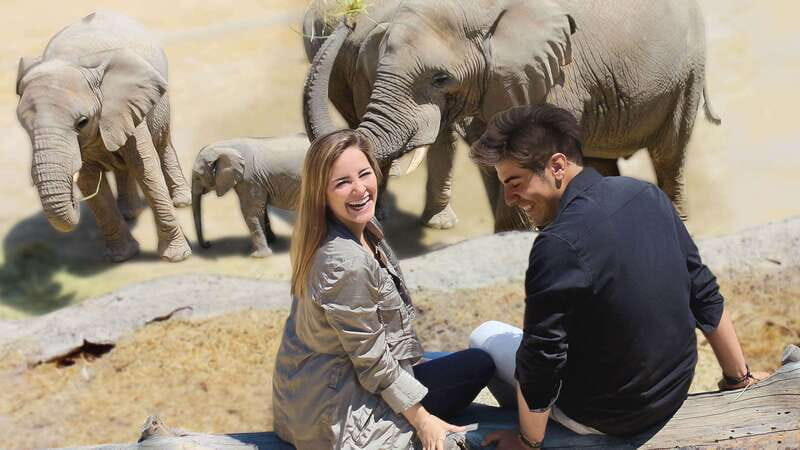 Puebla Africam Safari Park, Live an Unforgettable Adventure! - The Logistics: How the Day Unfolds