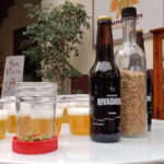 Puebla: Cholula Craft Beer Tour by Tram - In Summary: Is It Worth It?