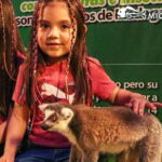 Puebla: Ticket to Aquarium Michin - Real Voices: What Visitors Say