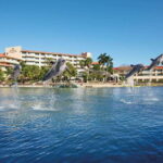 Puerto Aventuras: Amazing Dolphin Encounter with Lunch - Is This Tour Worth It?