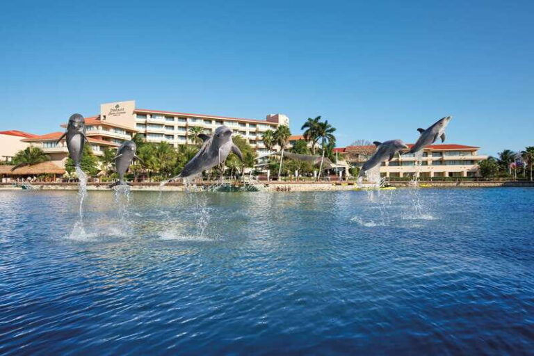 Puerto Aventuras: Amazing Dolphin Encounter with Lunch - Is This Tour Worth It?
