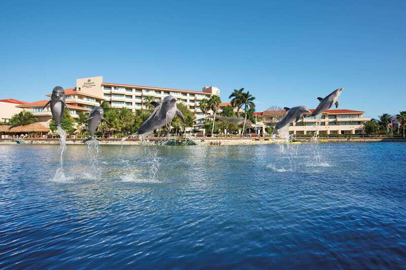 Puerto Aventuras: Amazing Dolphin Encounter with Lunch - Is This Tour Worth It?