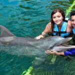 Puerto Aventuras: Dolphin & Manatee Encounter with lunch - What To Expect During the Tour