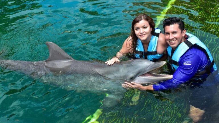 Puerto Aventuras: Dolphin & Manatee Encounter with lunch - What To Expect During the Tour