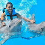 Puerto Aventuras: Dolphin Swim, Sea Lions, Manatees, & Lunch - The Downside—What to Watch Out For