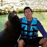 Puerto Aventuras: Dolphins, Manatee & Sea Lion interaction - The Details That Matter