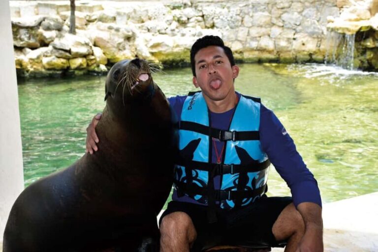 Puerto Aventuras: Dolphins, Manatee & Sea Lion interaction - The Details That Matter