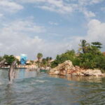 Puerto Aventuras: Manatee Encounter - The Meal and Facilities