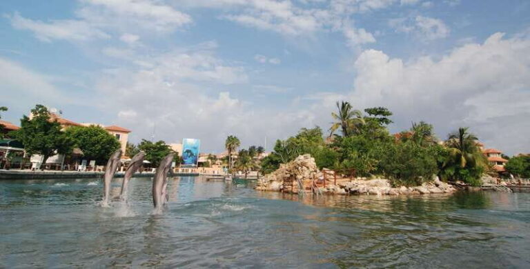 Puerto Aventuras: Manatee Encounter - The Meal and Facilities
