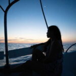 Puerto Escondido: Boat Tour among Dolphins and Turtles - The Marine Wildlife: Why It Matters