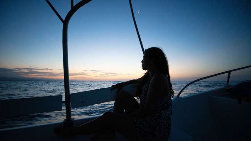 Puerto Escondido: Boat Tour among Dolphins and Turtles - The Marine Wildlife: Why It Matters