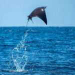 Puerto Escondido: Family Private Boat Tour - The Cost and Its Value
