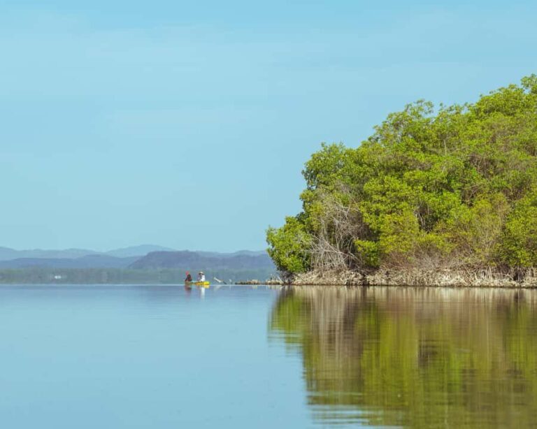 Puerto Escondido: Kayaking on Laguna Manialtepec - Who Should Consider This Tour?