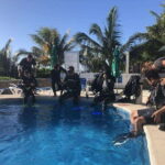 Puerto Morelo: Cenote Diving - Who Is This Tour Best For?