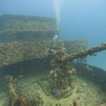 Puerto Morelos: C-56 Shipwreck & Reef for Certified Divers - Final Thoughts