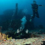 Puerto Morelos: Diving at the C56 Shipwreck - The Marine Environment and Scenery