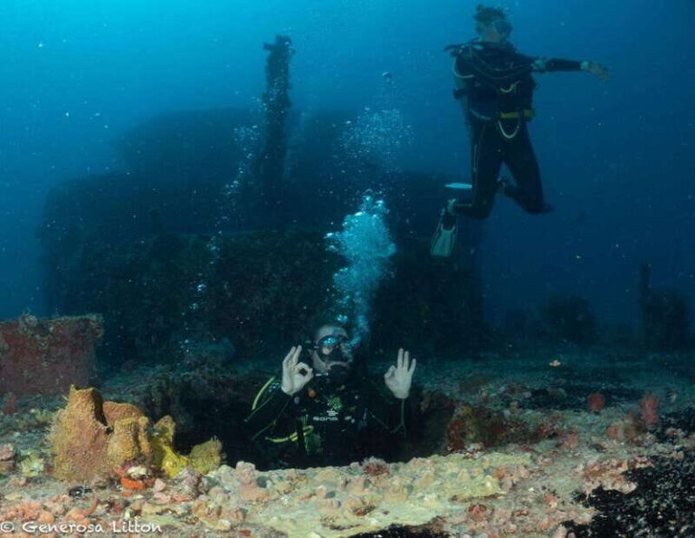 Puerto Morelos: Diving at the C56 Shipwreck - The Marine Environment and Scenery