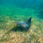 Puerto Morelos: Reef Snorkeling Trip with Beachside Lunch - The Itinerary Breakdown