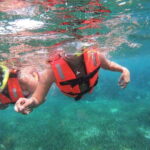 Puerto Morelos: Snorkel in Coral Reef with transportation - What Travelers Are Saying