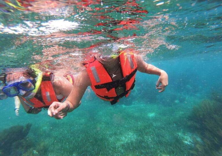 Puerto Morelos: Snorkel in Coral Reef with transportation - What Travelers Are Saying